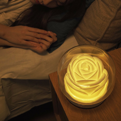 ED Night Light Aroma Oil Diffuser 400ml رطوبت ساز گل شکل سفید